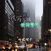 我写尽这世间繁华 - 听風词少