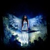 Road to Paradise (Explicit) - .paranoid