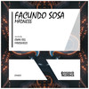Madness (Mindshield Remix) - Facundo Sosa&Mindshield
