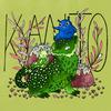 Imposter Syndrome - Kanto