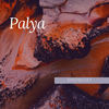 Palya - Snowcat