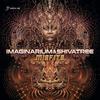 Misfits - Imaginarium&Shivatree