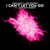 I Can't Let You Go (Radio Edit) - David Kane&BiBi Provence