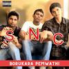 Borukara Pemwathi (feat. Che-V & Sandun) (Explicit) - PlayDohh&Che-V&Sandun