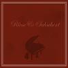 Can't get you out of my head - Riese&Schubert