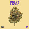 Praya (Explicit) - Jaya Luuck&Predella&Pedro Lotto&Paiva Prod&White Monkey Recordings