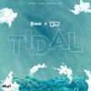 Tidal (Sped Up) - Chronic Law&D'yani