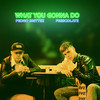 What You Gonna Do - Pedro Bríttez&Frescolate