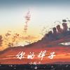 你的样子 (童声DJ版) - 小锐子