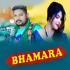 Bhamara - Dusmanta Suna&Ruchismita Guru