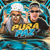 Pura Paz - MC Alê&Mc Digo STC&DJ HB