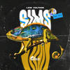 Sims - Low Voltage