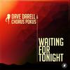 Waiting for Tonight - Dave Darell&Chorus Pokus