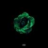 Lately (Explicit) - Sean Rose