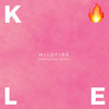 Wildfire (Sammy MZ Remix) - Caroline Kole&Sammy MZ&Caroline Kay Kudelko&Christian Davis&Paula Winger