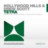 Tetra (Original Mix) - Hollywood Hills&Drew Scott