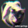 eclipse - calm springs