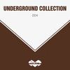 Carelian (Original Mix) - Moonseeker