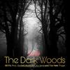 The Dark Woods (feat. The Hare Trigga & Gre3ed Boi) (Explicit) - 9EV1L&The Hare Trigga&Gre3ed Boi