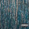 move (Explicit) - Saffi