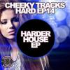Pump It (Original Mix) - Gopal&Macnrow
