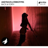 Back & Forth (Original Mix) - Andyrave&Stereotypes