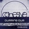 Who Is This (Original Mix) - Dumming Dum