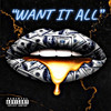 Want It All (Explicit) - Lady E