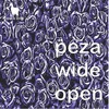 Wide Open (Original Mix) - Peza