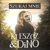 Szukaj Mnie - DiNO&Kleszcz
