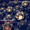 Perfect Flower(Van Corner Chillout Edit) - Valentin Van Corner&noel neron