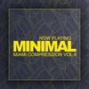 Out Now! (Original Mix) - Fritz Fridulin