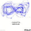 The World Still Rolling (Original) - Cadatta