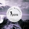 Disko (Unison Remix) - Motoe Haus