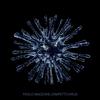 Virus - Paolo Madzone Zampetti