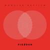 Modular Baptism (Continuous Mix) - Pig&Dan