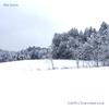 First Snow (feat. CANTI) - Dvevoted Love&CANTI
