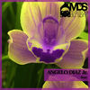 Melody of Sun - Angelo Diaz Jr.