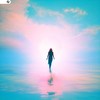 Shed a Light - pablo leo