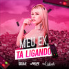 Mega Funk Meu Ex Tá Ligando (Explicit) - DJ Philipe Sestrem&Mc Erikah&DJ Guime