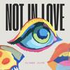 Not İn Love (Radio Edit) - DJ ASEK&Dj Fr