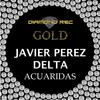 Delta Acuaridas (Original Mix) - Javier Perez