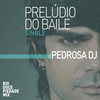 Prelúdio do Baile (Instrumental) - Pedrosa DJ