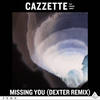 Missing You - Cazzette&Parson James