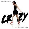 She Drives Me Crazy (Andrew Spencer Club Remix) - DJ Skillmaster&Andrew Spencer