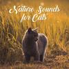 Pure Relaxation - Pet Care Club&Rest&Relax Nature Sounds Artists&Sleep Sound Library