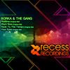 Want Now (Original Mix) - Borka & The Gang