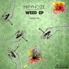 I Got (Original Mix) - Hipynoze