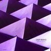 Dengon (Larry Heard's Underground Remix) - Richard Les Crees