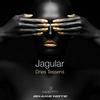 Jagular (Original Mix) - Dries Tessens